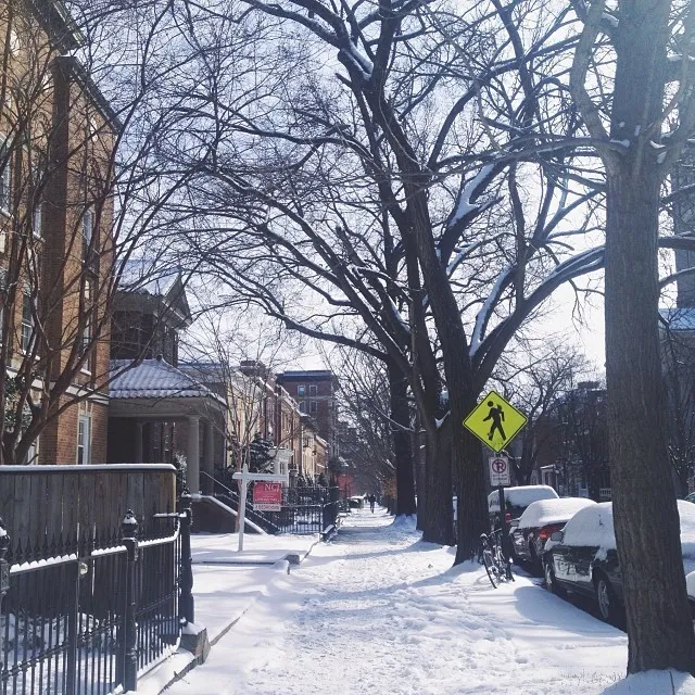 From our walk to work this morning. What's a snow day