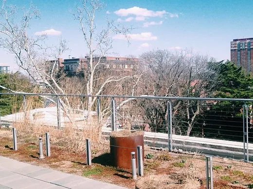Lunch break spot today. (at Pollak Green Roof)