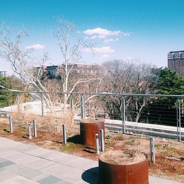 Lunch break spot today. (at Pollak Green Roof)